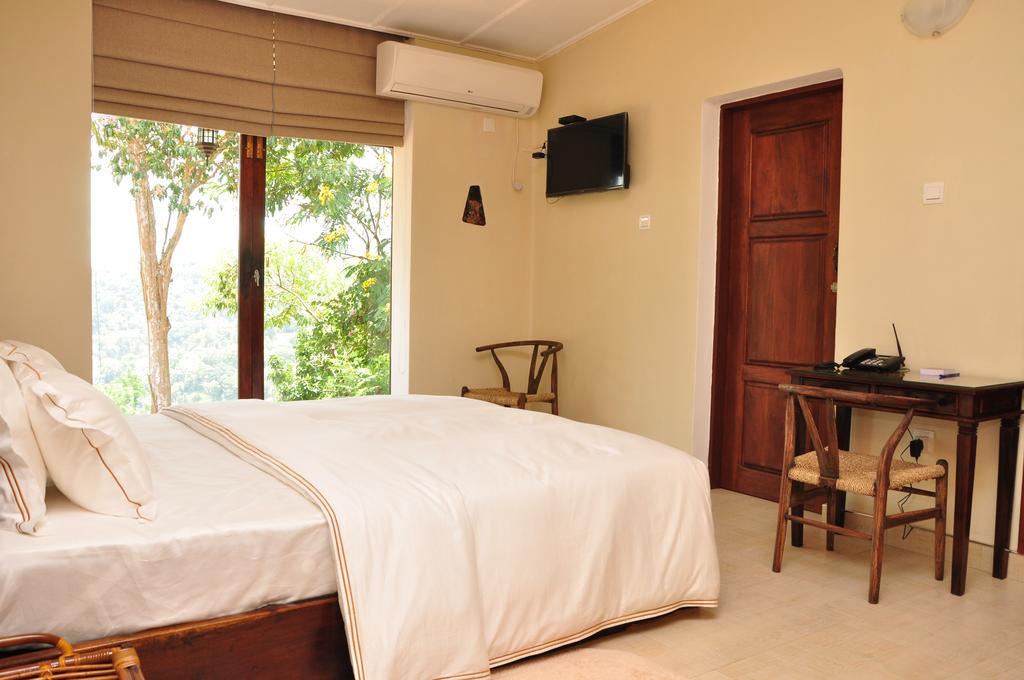 The Buena Vista Kandy Rom bilde