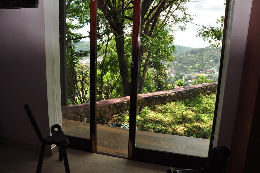 The Buena Vista Kandy Rom bilde