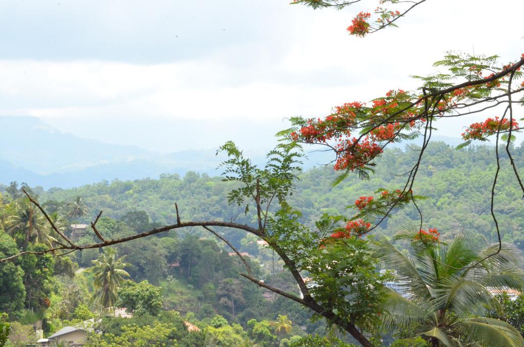 The Buena Vista Kandy Eksteriør bilde
