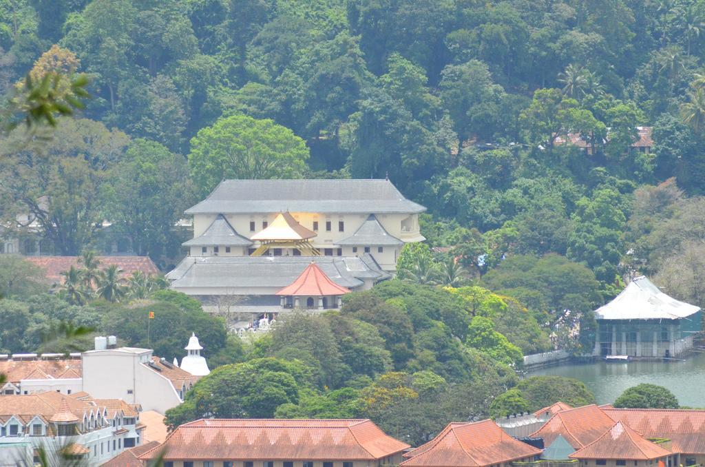 The Buena Vista Kandy Eksteriør bilde