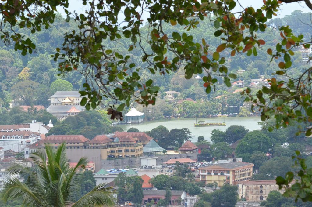 The Buena Vista Kandy Eksteriør bilde