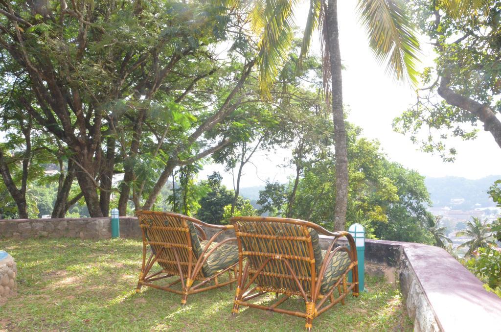 The Buena Vista Kandy Rom bilde