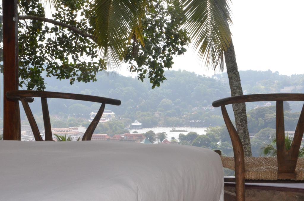 The Buena Vista Kandy Rom bilde