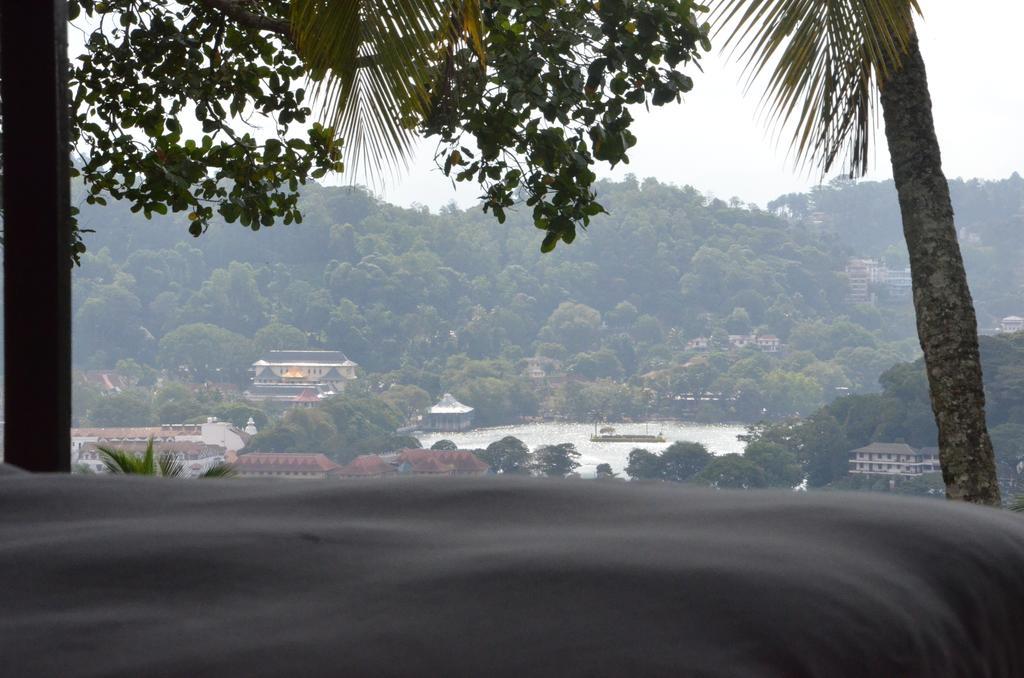 The Buena Vista Kandy Rom bilde